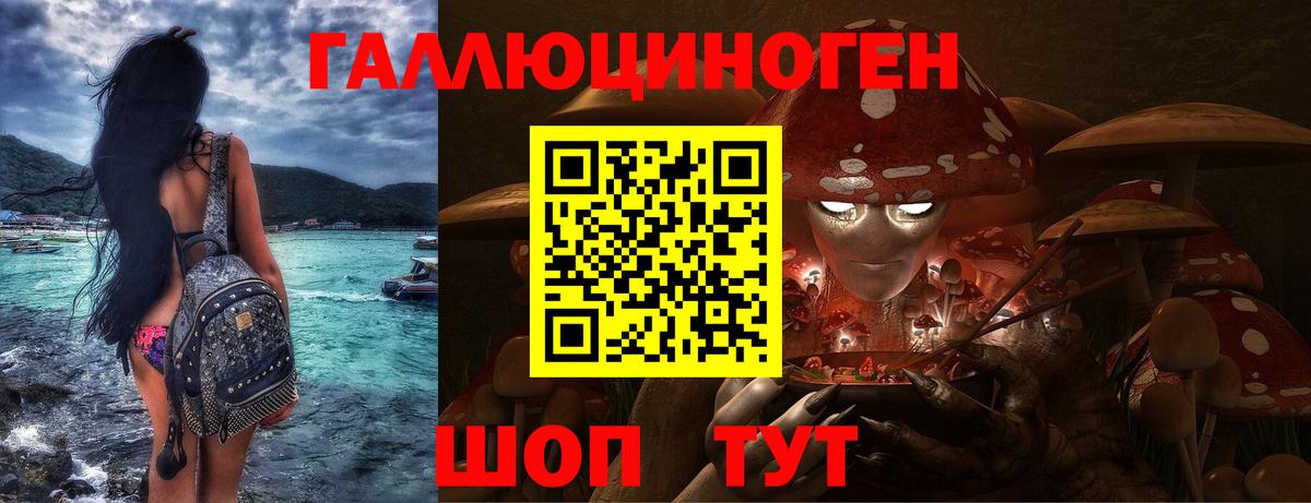 Псилоцибиновые грибы Psilocybe  Вход с VPN  Дмитров  Галлюциногенные грибы мицелий 
